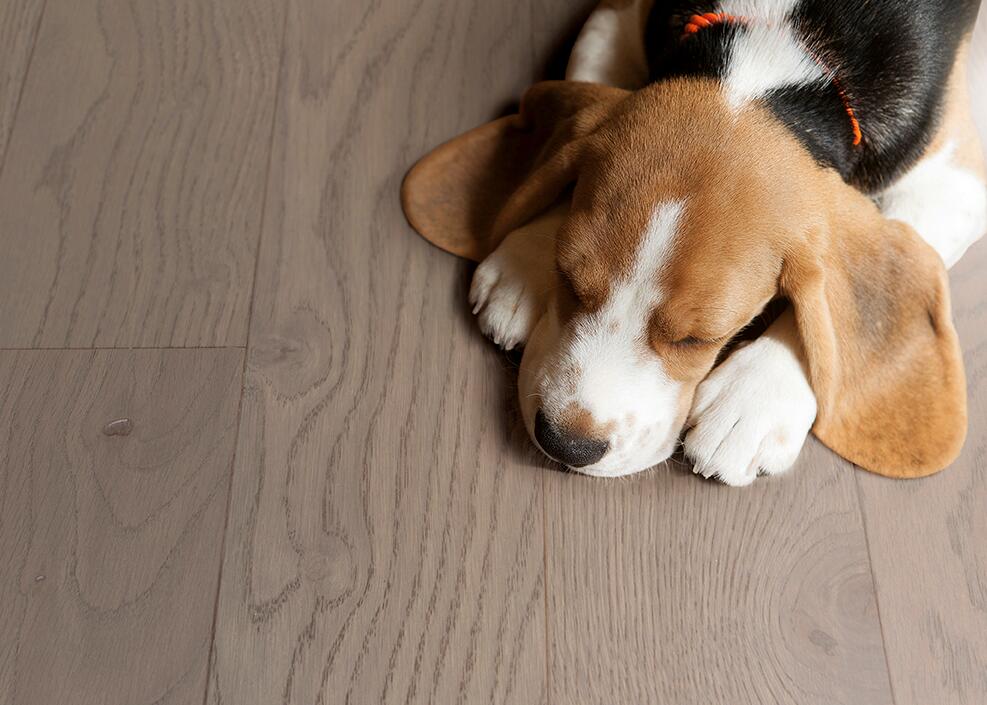  得高實(shí)木復(fù)合地板不只是腳下的鋪陳更是生活的舞臺